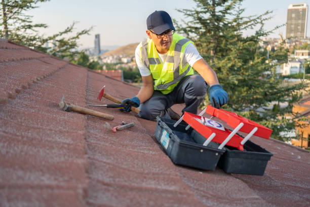 Same-Day Junk Removal Services in Naco, AZ